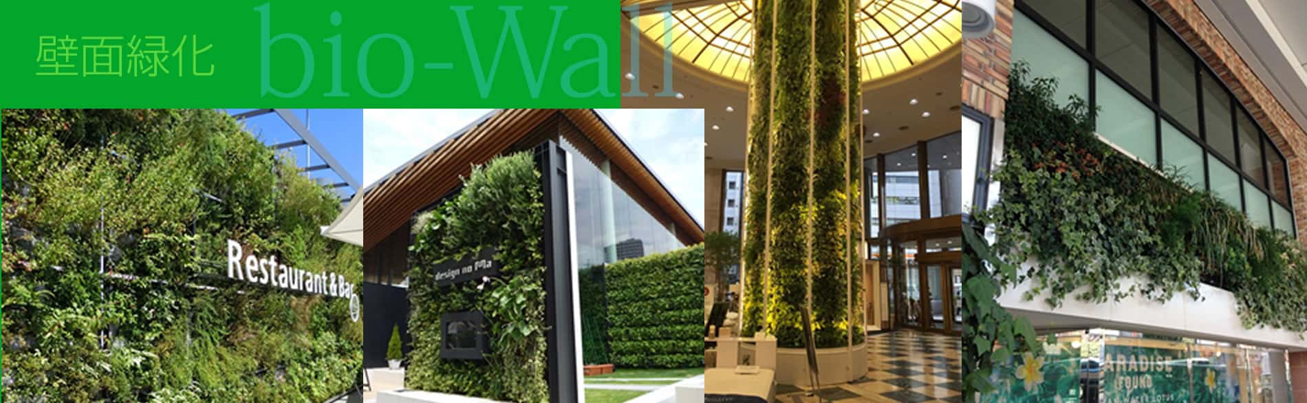 壁面緑化　bio-Wall